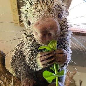 Meet your Posher, Tina